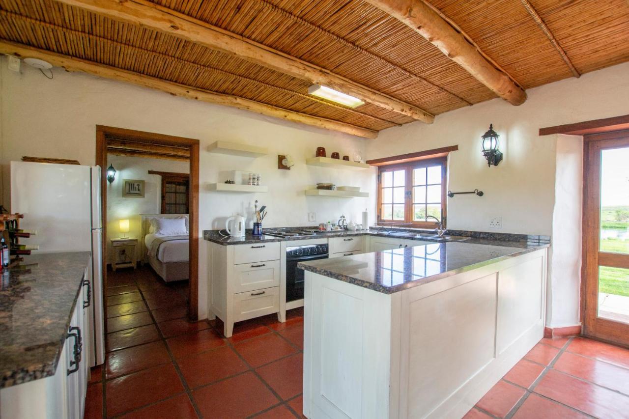 Ferienwohnung Denneboom Vineyards And Wildlife Paarl Exterior foto