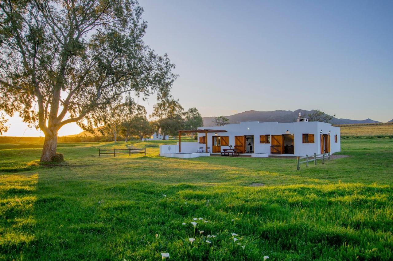 Ferienwohnung Denneboom Vineyards And Wildlife Paarl Exterior foto