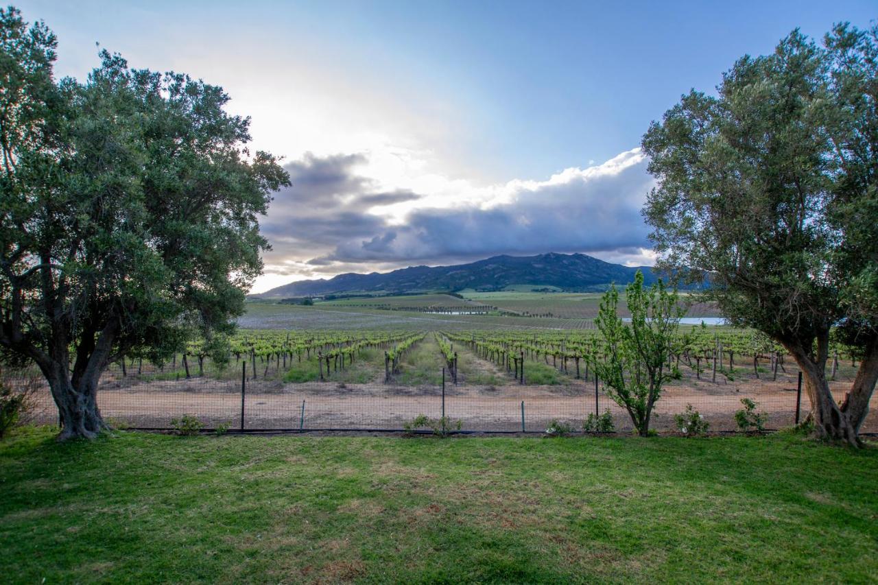 Ferienwohnung Denneboom Vineyards And Wildlife Paarl Exterior foto